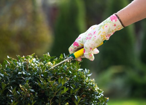 Customer complaint review for a landscaping project