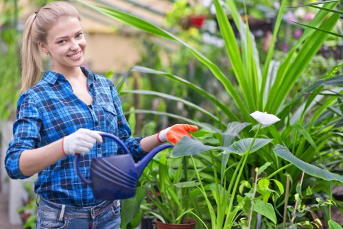 Landscaping team reviewing ethical labour practices