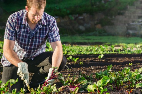 Free quote discussion for a suburban garden project in Sydenham