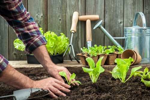 Garden design and build project planning for a Sydenham home with patio and planting