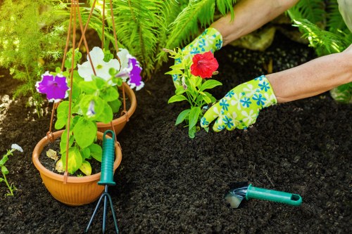 Accessible landscaping content displayed for Sydenham visitors