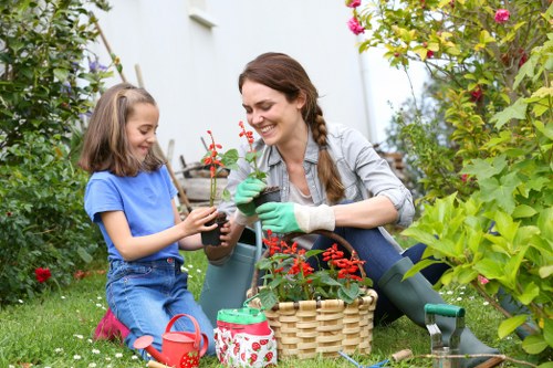 Local turf installation service for gardens in Sydenham