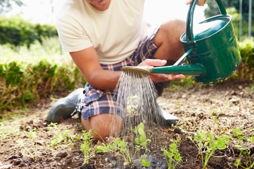 Final cookie policy summary for Landscaping Sydenham