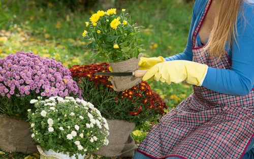 Safe and professional Landscaping Sydenham payments area