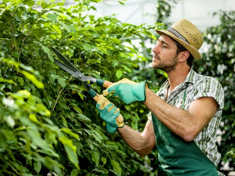 SSL encryption protecting Landscaping Sydenham card payments