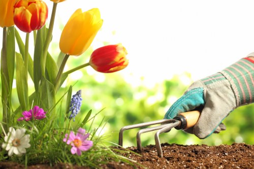 Final review of a landscaping complaints procedure