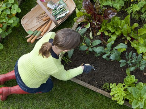 Local garden construction work showing paving and landscaping in Sydenham