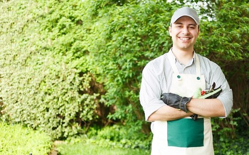 Inclusive landscaping Sydenham website content with clear headings