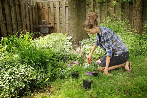 Thoughtful garden layout for a compact Sydenham outdoor space