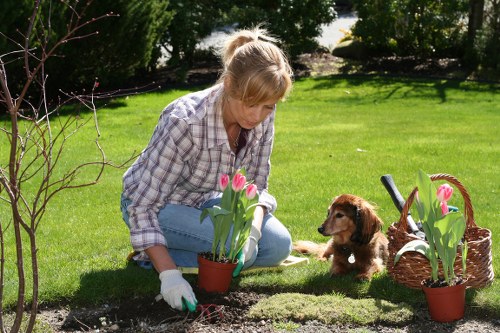 Modern low-maintenance landscape features for a Sydenham property