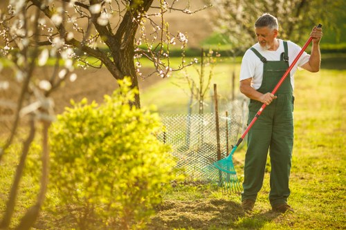 Local garden landscaping work for a Sydenham residential or commercial site