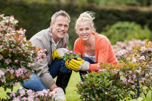 Soft landscaping layout for a residential outdoor space in Sydenham